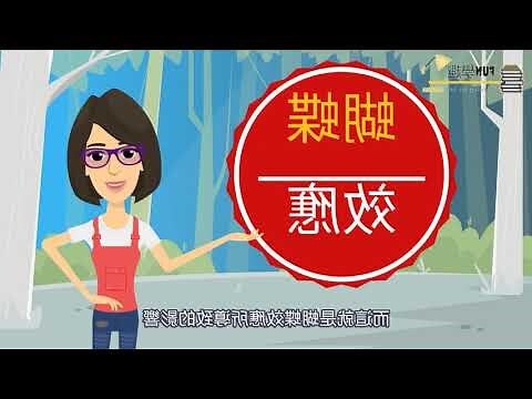 蝴蝶效應 舉例